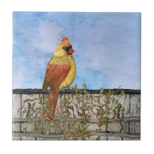 Vrouw keramische keramische vormgeving