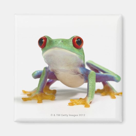 Vrouw kikker 2 magneet (Voorkant)