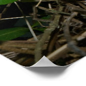 Vrouw Klassieke voedende baby's Poster (Hoek)