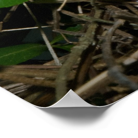 Vrouw Klassieke voedende baby's Poster (Hoek)