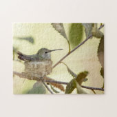Vrouw kolibrie in haar nest legpuzzel (Horizontaal)