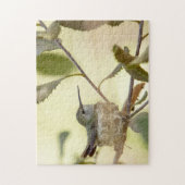 Vrouw kolibrie in haar nest legpuzzel (Verticaal)