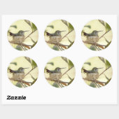 Vrouw kolibrie in haar nest ronde sticker (Vel)