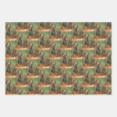 Vrouw Krampus inpakpapier set (Voorkant 3)