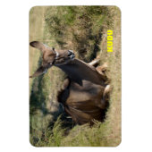 Vrouw Kudu Magneet (Verticaal)