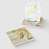 Vrouw leeuw kijkt naar onderzetter in het wild (Zijkant)