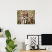 Vrouw leeuw met krab (Panthera Leo) zoals gezien i Poster (Thuiskantoor)