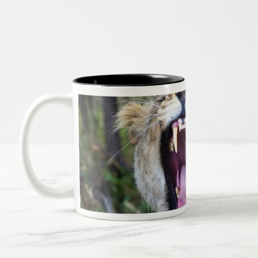 Vrouw leeuw (Panthera leo), Nationaal Masai Mara Tweekleurige Koffiemok (Links)