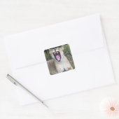 Vrouw leeuw (Panthera leo), Nationaal Masai Mara Vierkante Sticker (Envelop)