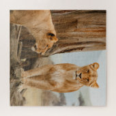 Vrouw leeuwen die bij dode bomen zitten legpuzzel (Horizontaal)
