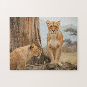 Vrouw leeuwen die bij dode bomen zitten legpuzzel