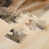 Vrouw leeuwen die bij dode bomen zitten legpuzzel (Zijkant)