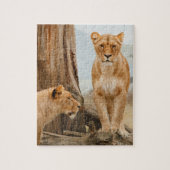 Vrouw leeuwen die bij dode bomen zitten legpuzzel (Verticaal)