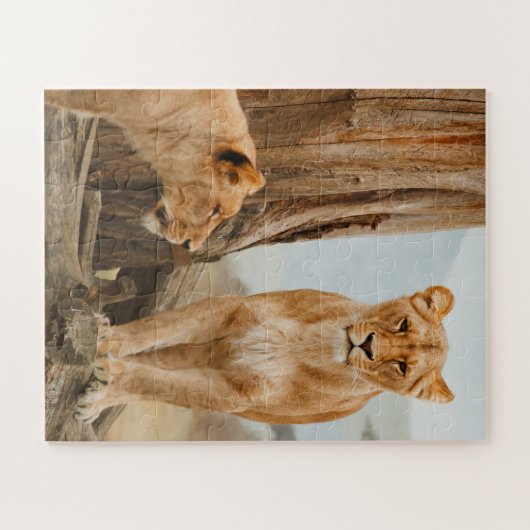 Vrouw leeuwen die bij dode bomen zitten legpuzzel (Horizontaal)