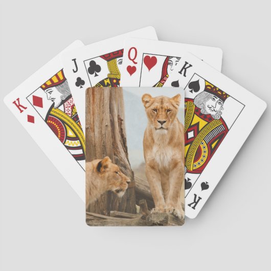 Vrouw leeuwen die bij dode bomen zitten pokerkaarten (Achterkant)