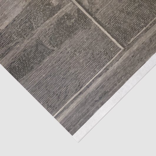 Vrouw lezen, jaren 1880 tissuepapier (Detail)