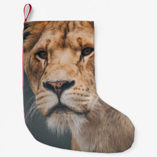 VROUW LION BIJ JYLLAND PARK ZOO KLEINE KERSTSOK