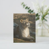 Vrouw Lion Briefkaart (Staand voorkant)