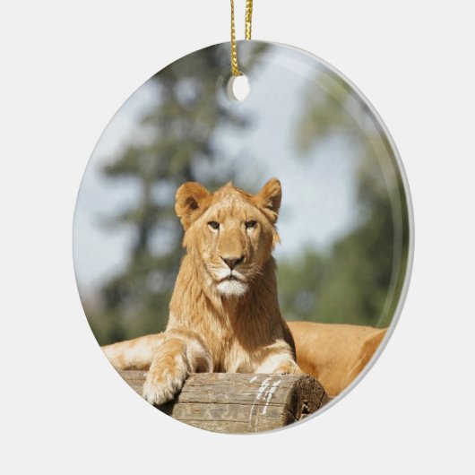 Vrouw Lion Keramisch Ornament (Links)