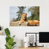 Vrouw Lion Poster (Thuiskantoor)