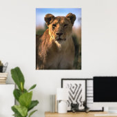 Vrouw Lioness Lion Lovers Gifts Poster (Thuiskantoor)
