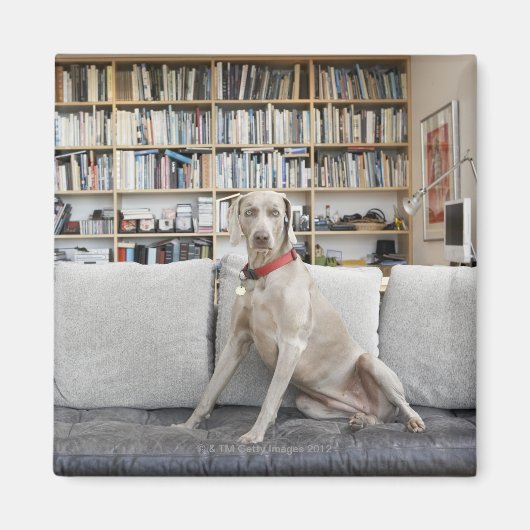 Vrouw Magneet (Voorkant)