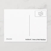 Vrouw Mallard Briefkaart (Achterkant)