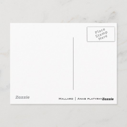 Vrouw Mallard Briefkaart (Achterkant)