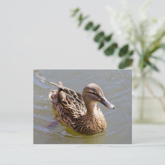 Vrouw Mallard Briefkaart (Staand voorkant)