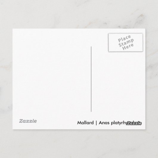 Vrouw Mallard Briefkaart (Achterkant)