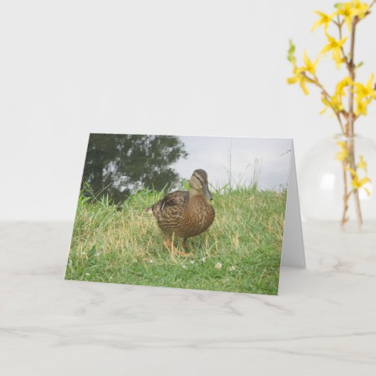 Vrouw Mallard Duck Kaart (Gele Bloem)