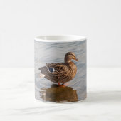 Vrouw Mallard Duck Mok (Center)