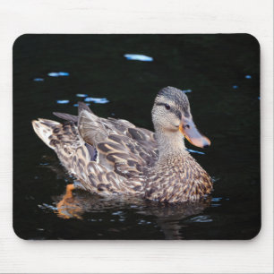 Vrouw Mallard Duck Muismat