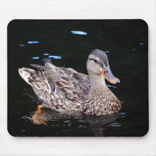 Vrouw Mallard Duck Muismat (Voorkant)