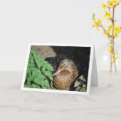 Vrouw Mallard Duck Nesting Kaart (Gele Bloem)