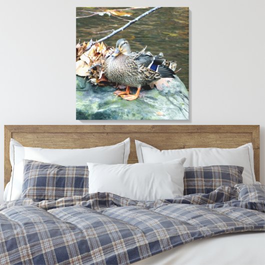 Vrouw Mallard Duck op Mossy Rock Canvas Afdruk (Insitu (Slaapkamer))