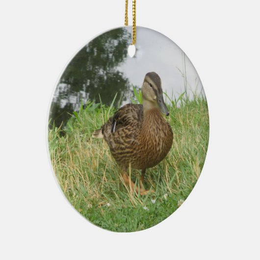 Vrouw Mallard Duck Ornament (Rechts)