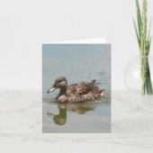 Vrouw Mallard Duck Photo Folded Note Kaart (Voorkant)