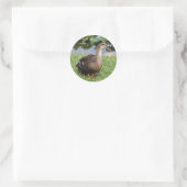 Vrouw Mallard Duck Photo Round Stickers (Tas)