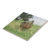 Vrouw Mallard Duck tegel Tegeltje (Zijkant)