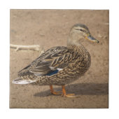 Vrouw Mallard Duck Tile Trivet Tegeltje (Voorkant)