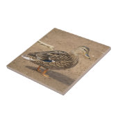Vrouw Mallard Duck Tile Trivet Tegeltje (Zijkant)