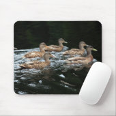 Vrouw Mallard Ducks Muismat (Met muis)