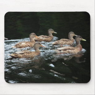 Vrouw Mallard Ducks Muismat