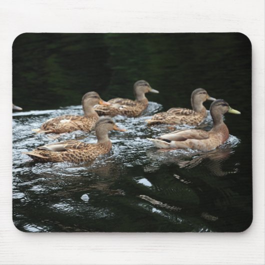 Vrouw Mallard Ducks Muismat (Voorkant)