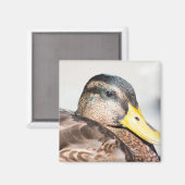 Vrouw Mallard Magneet (Voorkant / Achterkant)