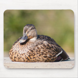 Vrouw Mallard Muismat
