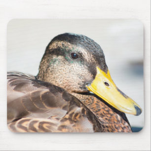 Vrouw Mallard Muismat