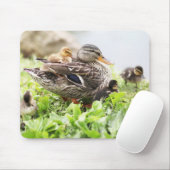 Vrouw Mallard omringd door drijfveren Muismat (Met muis)