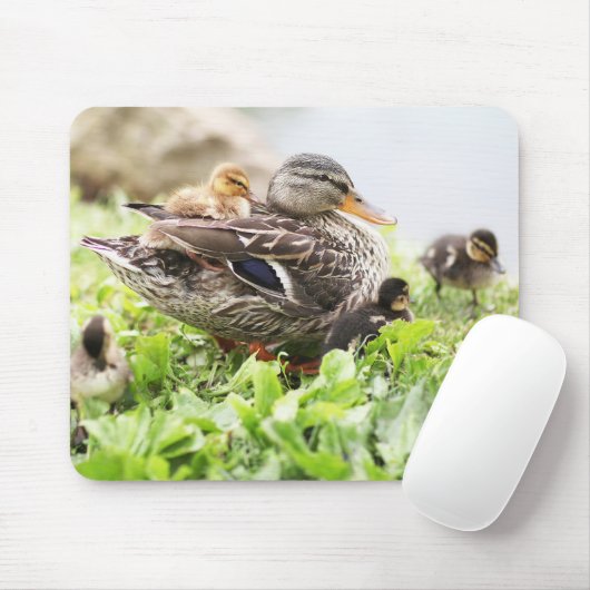 Vrouw Mallard omringd door drijfveren Muismat (Met muis)